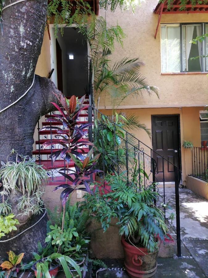 Posada Bugambilias Tepoztlán Exterior foto